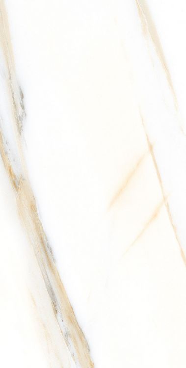 ALC Calacatta Gold Matte 12'' x 24''