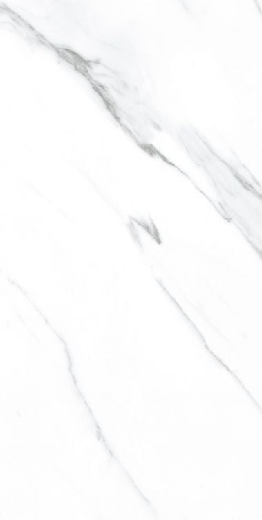 ELY AGL Carrara Matte 12'' x 24''