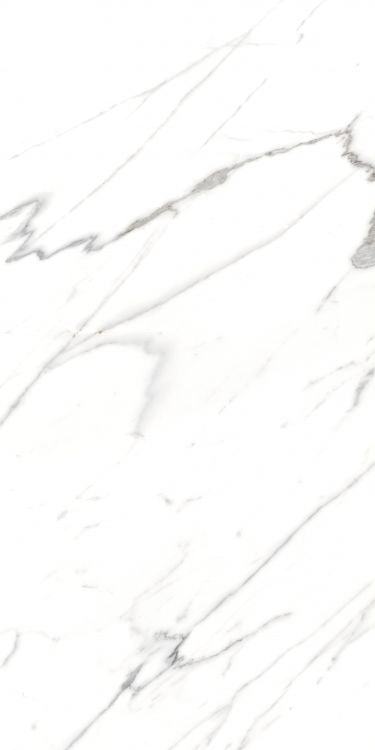 ELY ALG Carrara Matte 24'' x 48''