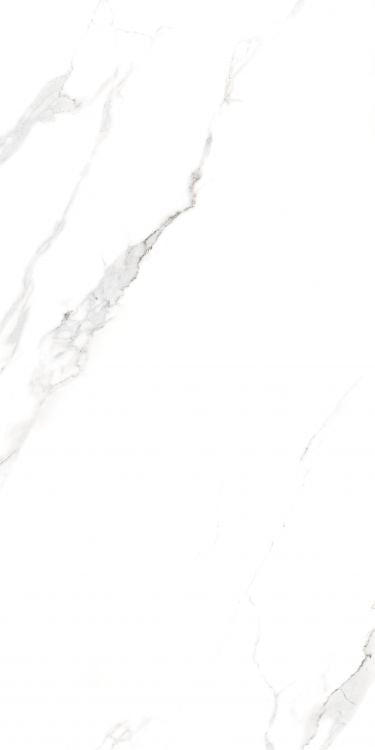 ELY ALG Statuario Polished 24'' x 48''