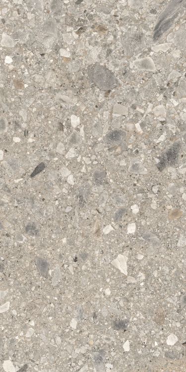 ELY Oribica Beige Matte 24'' x 48''