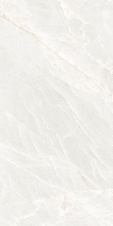 ELY Brasilia White Matte 12'' x 24''