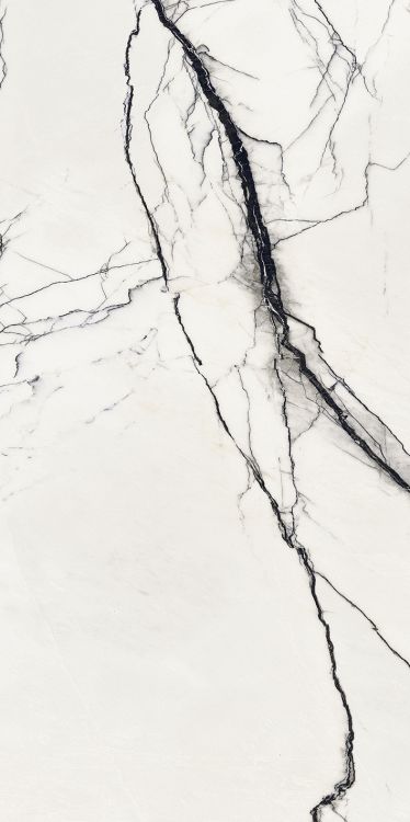 B&W Breach High-Gloss 12'' x 24'' (please call for special pricing)