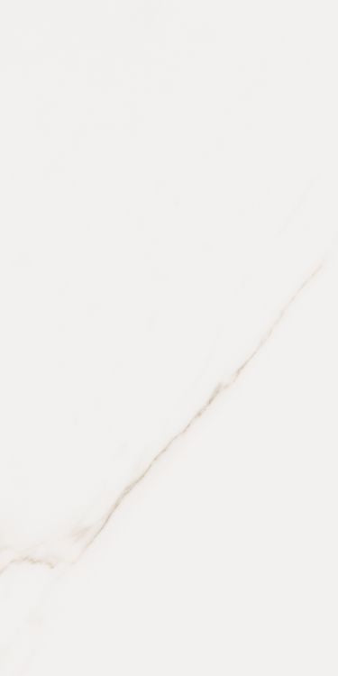 ELY Omnia Calacatta Matte 12'' x 24'' (please call us for stock & special pricing)