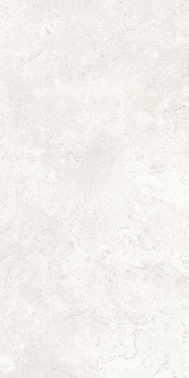 ELY Petra Viva Bone Matte 24'' x 48'' Porcelain Tile