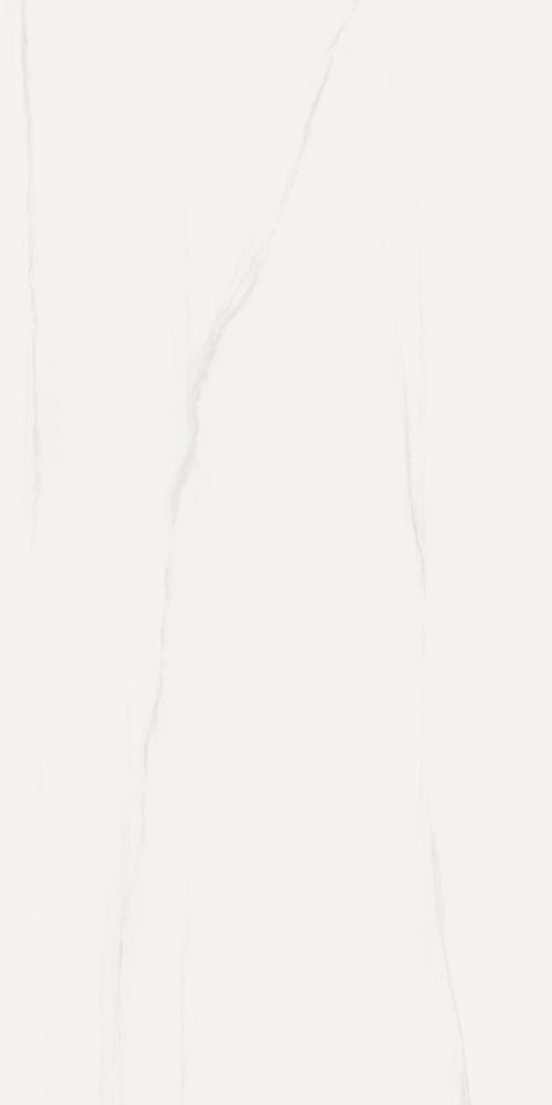 ELY Prestigio Dolomite Lucido 12x24