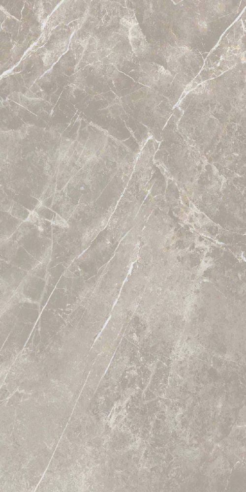 ELY Dolomia Grey Nat 24x48