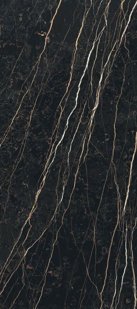 ELY Prexious Thunder Night Matte 32x71