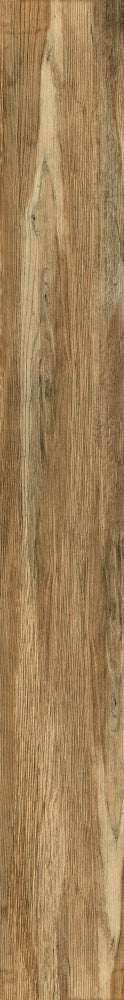 ELY Larix Sabbia 8x68