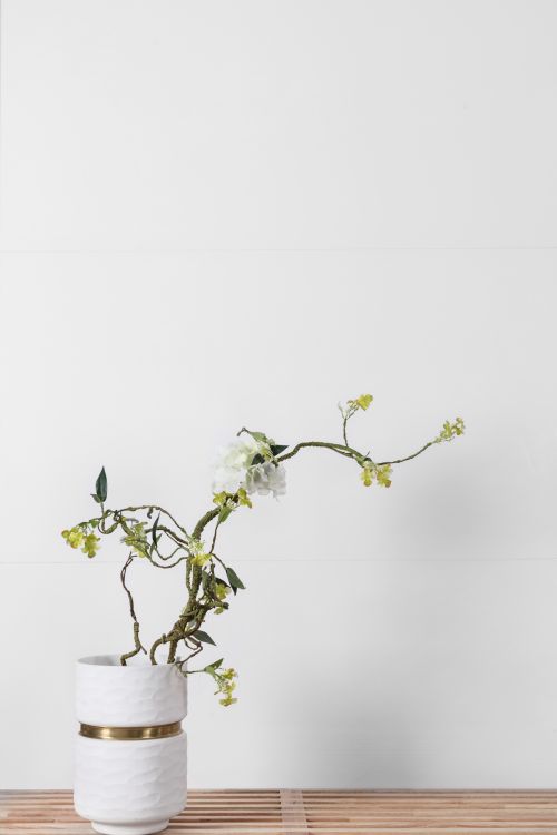 ELY Extra White Polished 18x36 (please call for special pricing)