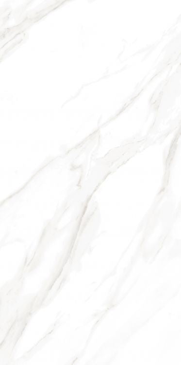 Elysium EC Calacatta Gold Matte 24x48
