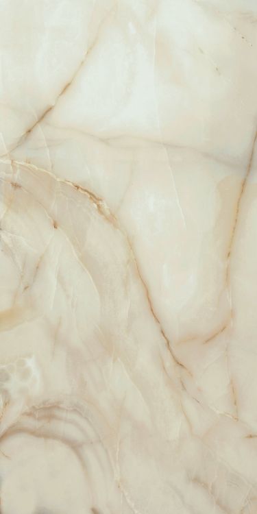 ELY Bijoux Onyx Blanche Matte 24x48