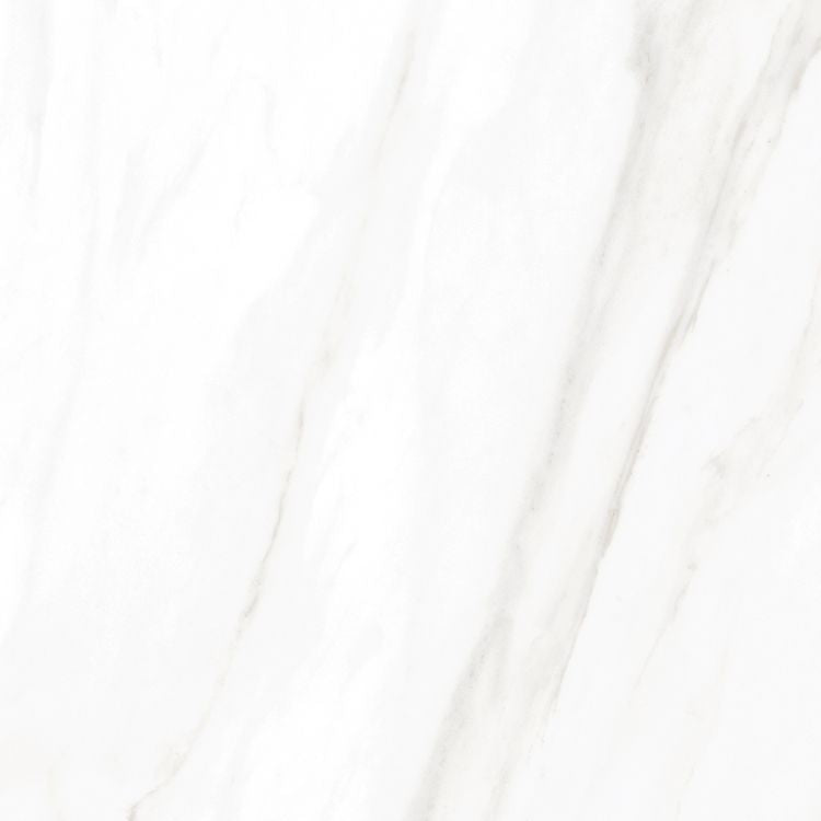 ELY EC Calacatta Gold Polished 24x24