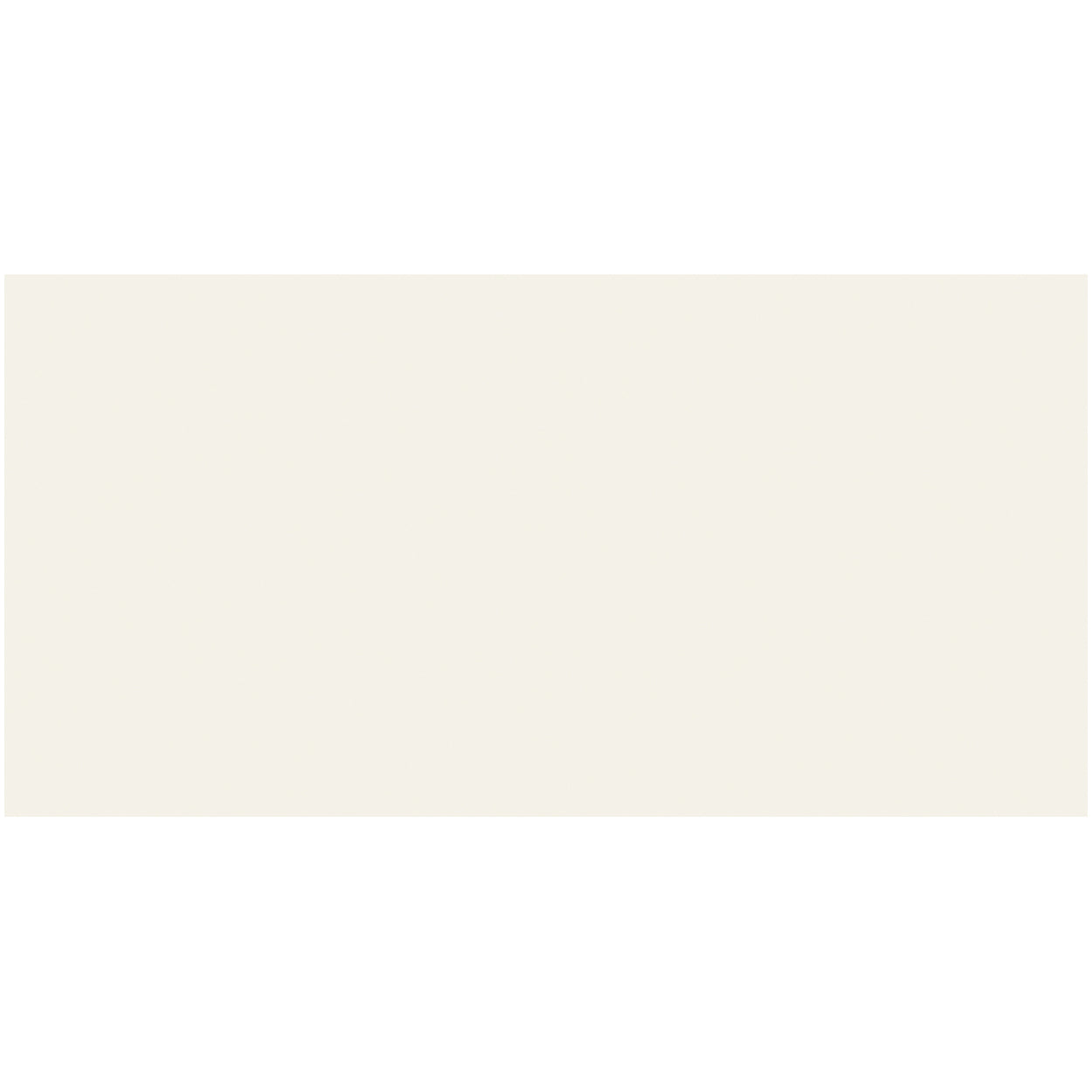 Style Access Finish Line Alpine White Polished 12x24
