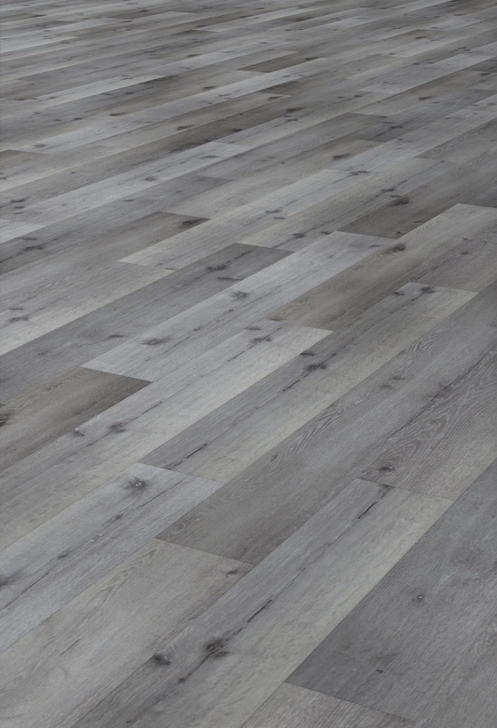 Eternity Valiant XPE SPC: Trellis