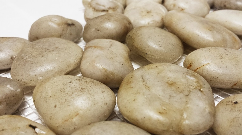 Earth White Polished Pebble Tile