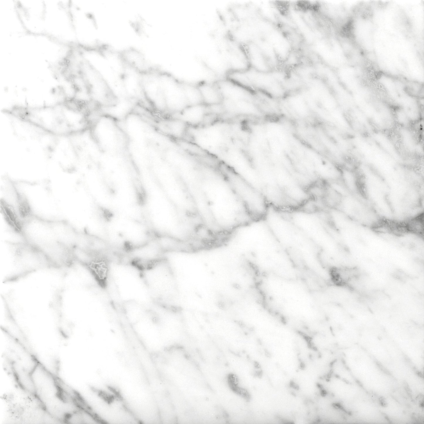 Emser Marble Bianco Gioia Collection 24x24