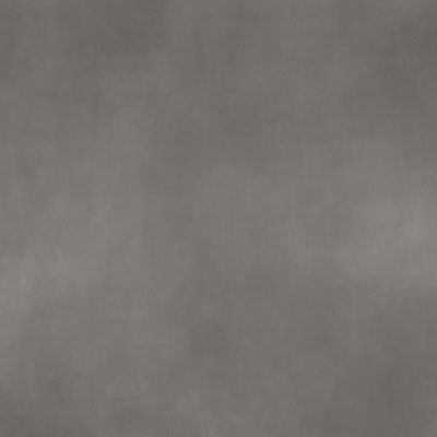 Porcelanosa Raw SMoke Nat 61x129