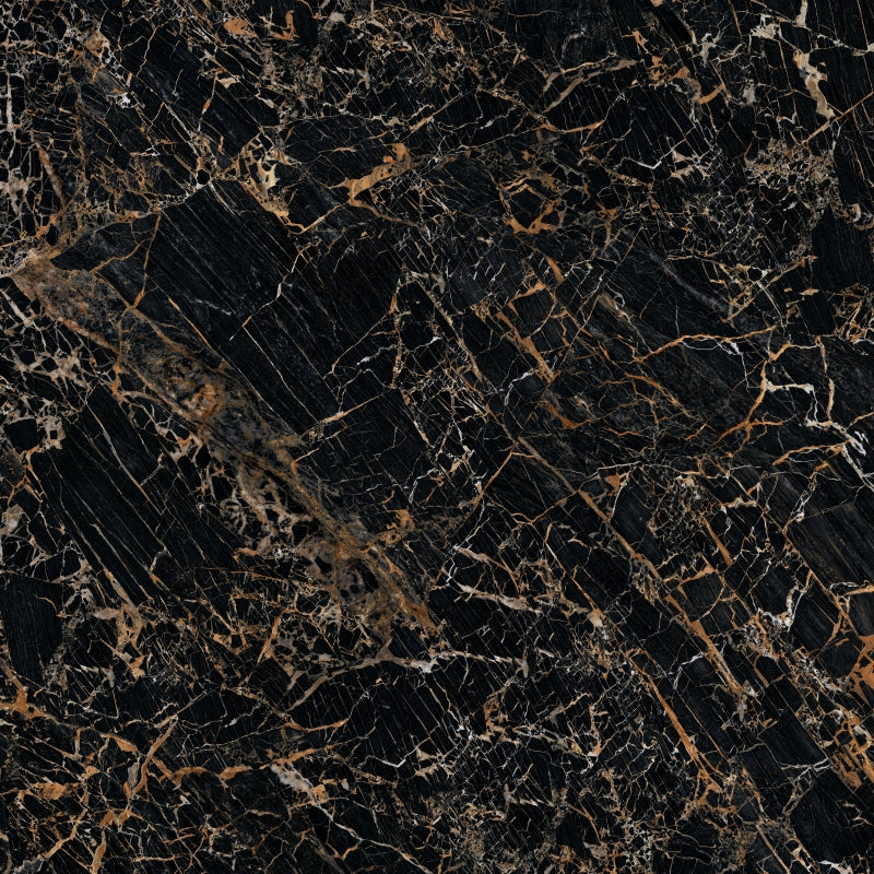BLACK & GOLD - VERSACE CERAMICS