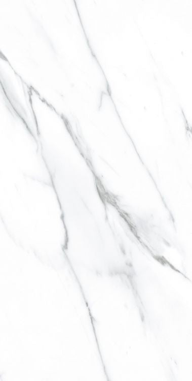 ELY AGL Carrara Matte 12'' x 24''