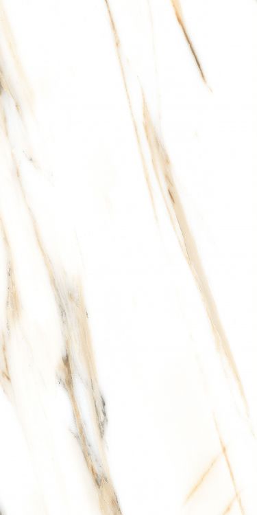 ELY ALC Calacatta Gold Matte 24'' x 48'' 