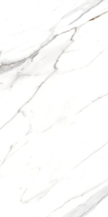 ELY ALG Carrara Matte 24'' x 48''
