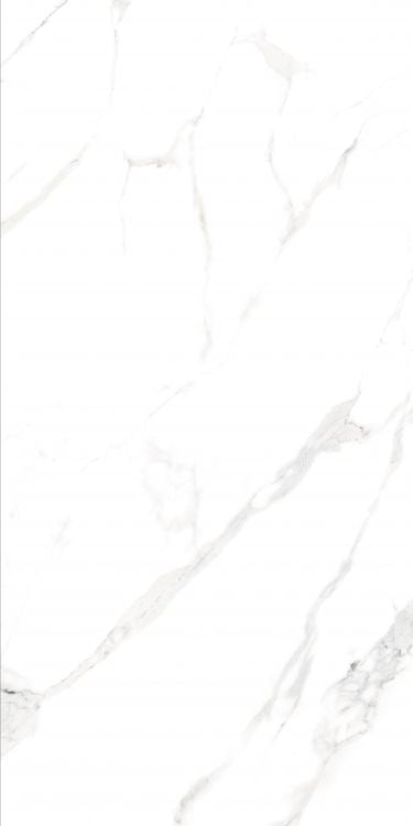ELY AGL Statuario Matte 24'' x 48'' 