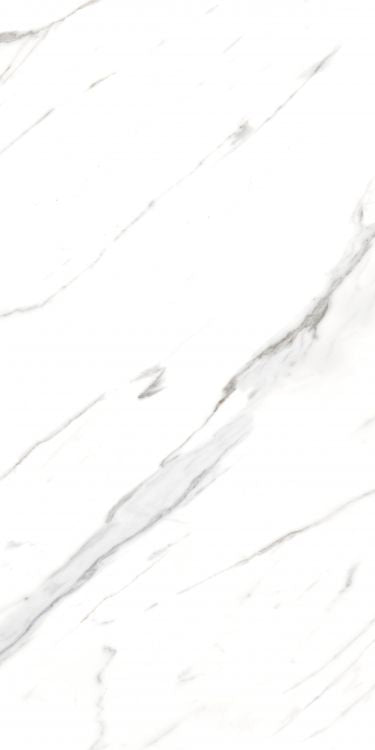 ELY ALG Carrara Polished 24'' x 48'' 