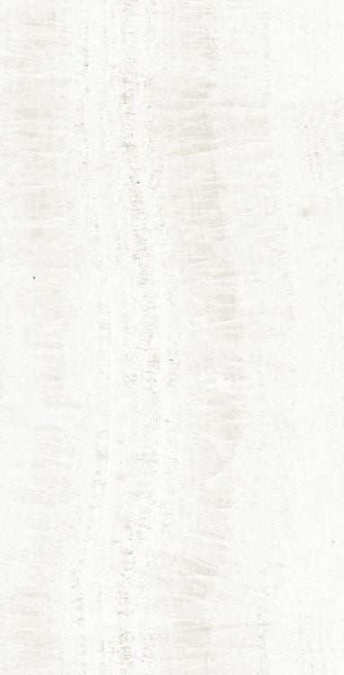 ELY OL Onyx White 12'' x 24''