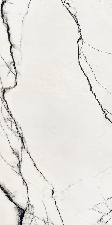 B&W Breach High-Gloss 12'' x 24'' (please call for special pricing)