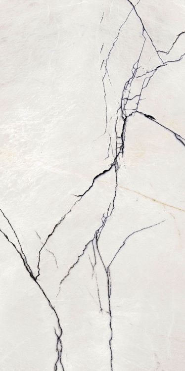 B&W Breach High-Gloss 12'' x 24'' (please call for special pricing)
