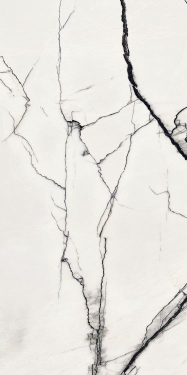 B&W Breach High-Gloss 12'' x 24'' (please call for special pricing)