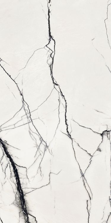 ELY B&W Breach High-Glossy 24'' x 48''