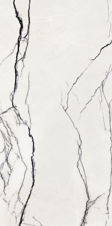 ELY B&W Breach High-Glossy 24'' x 48''