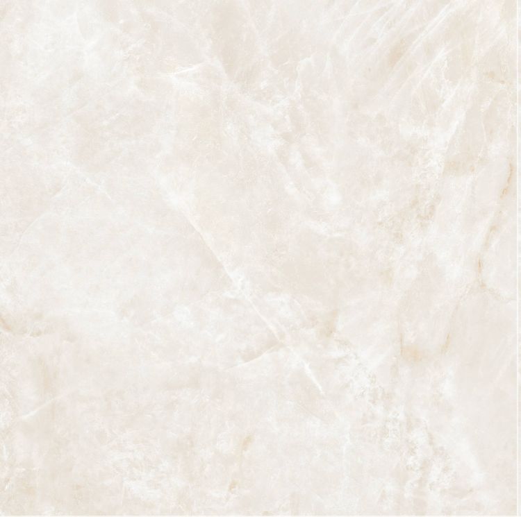 ELY OL Taj Mahal Cream Matte 24'' x 24''