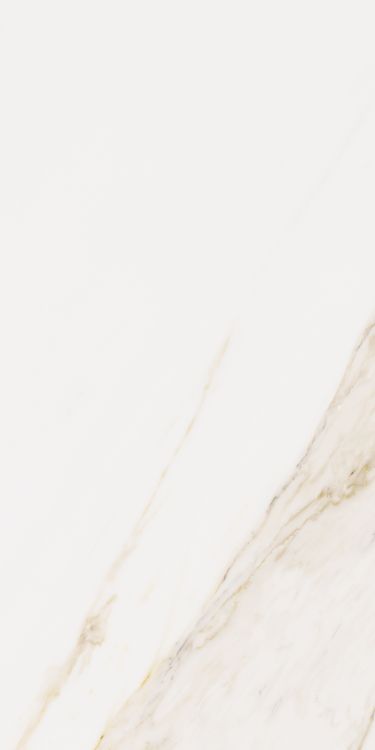 ELY Omnia Calacatta Levigato 12'' x 24'' (please call for stock & special pricing)