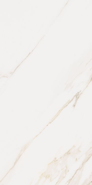 ELY Omnia Calacatta Levigato 24'' x 48''