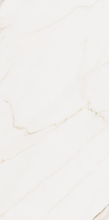 ELY Omnia Calacatta Levigato 24'' x 48''