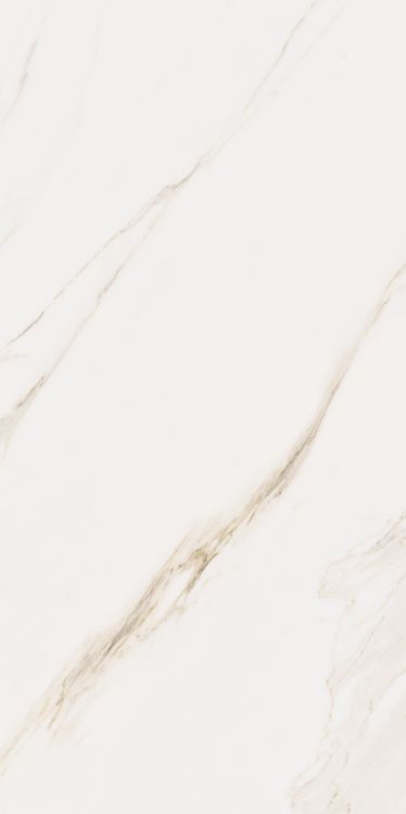 ELY Omnia Calacatta Levigato 24'' x 48''