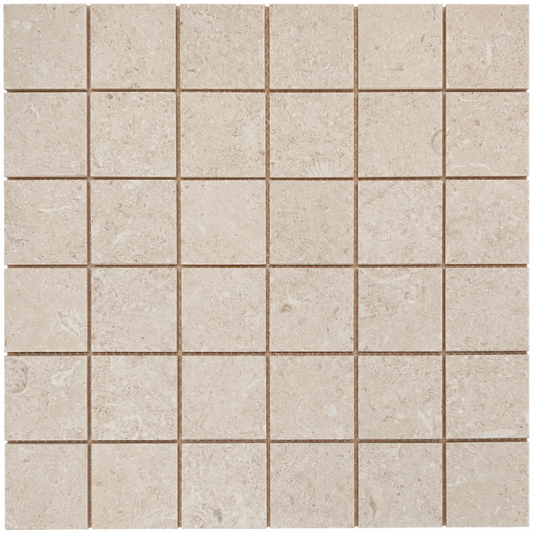 ELY Sea Luster Avario Matte Mosaic 2'' Square 12'' x 12''