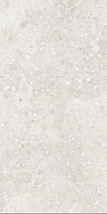 ELY Sea Luster Bianca Matte 24'' x 48''