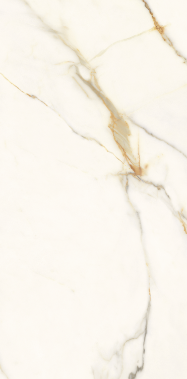 ELY Time Dorado Polished 12'' x 24''