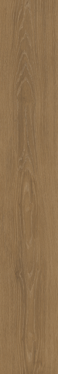 ELY Time Wood Essence 7-1/2'' x 48'' Porcelain Tile