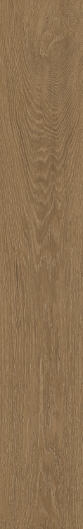ELY Time Wood Essence 7-1/2'' x 48'' Porcelain Tile