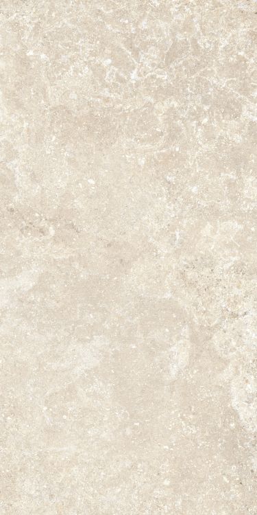 ELY Untamed Wander Warm 12'' x 24'' Porcelain Tile