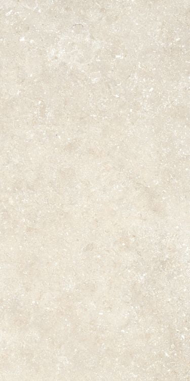 ELY Untamed Wander Warm 12'' x 24'' Porcelain Tile