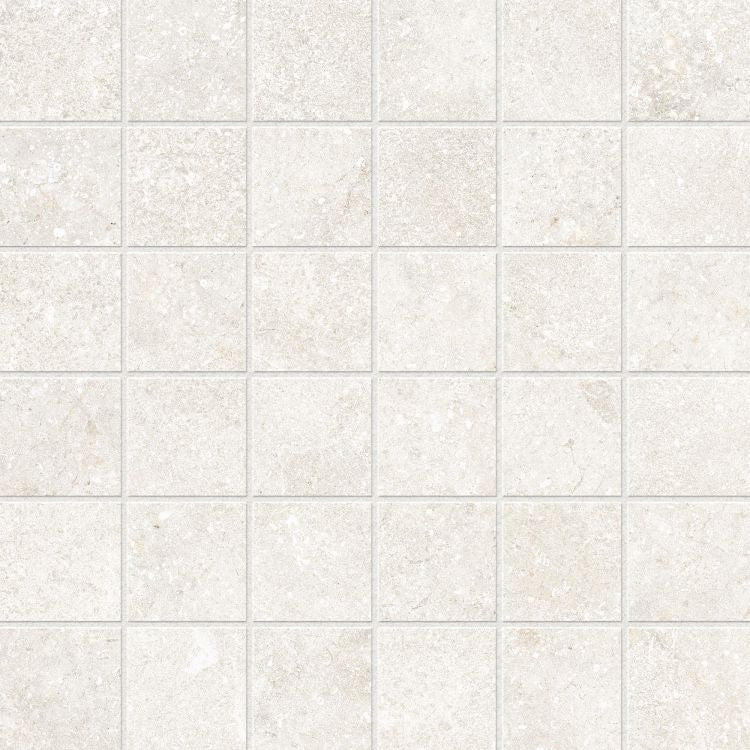 ELY Untamed Wonder White Matte 12'' x 12'' Porcelain