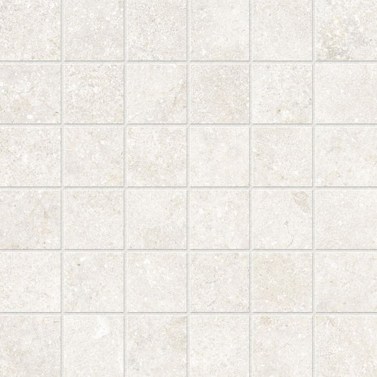 ELY Untamed Wonder White Matte 12'' x 12'' Porcelain