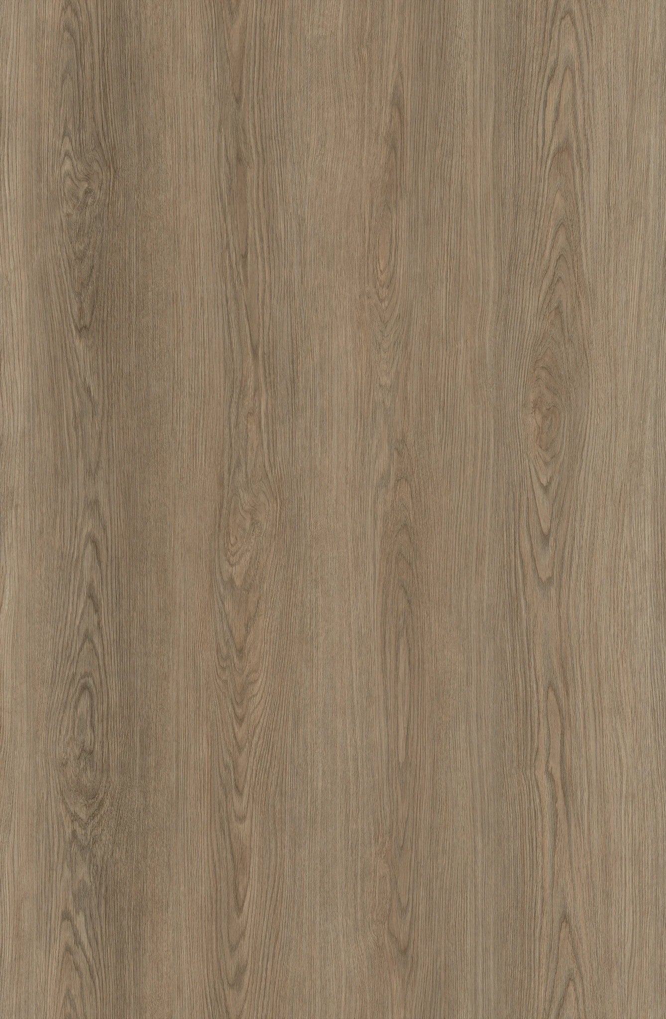 Evolux GrandLux 20mil Collection Glue Down LVT 9'' x 60'' (SALE)