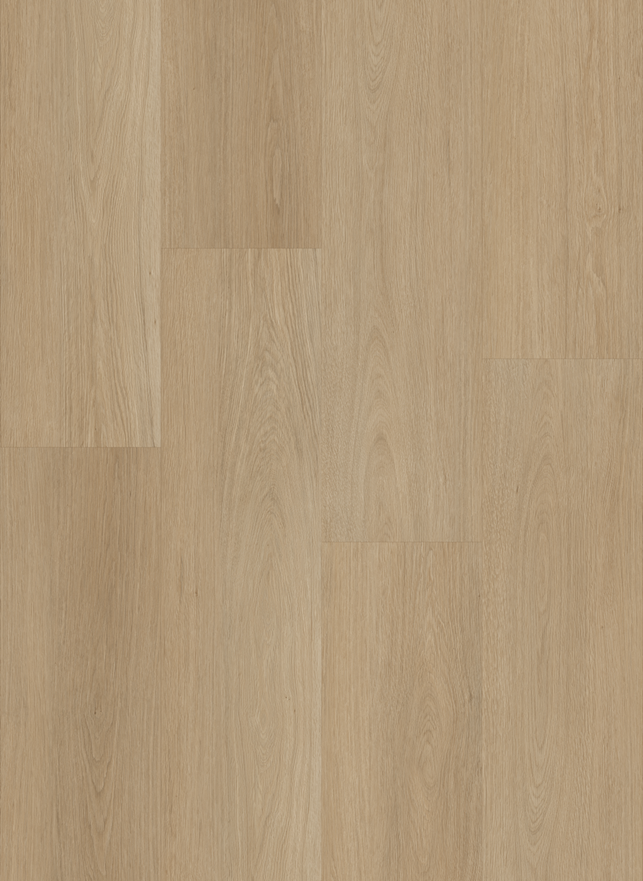 Evolux Whisper Woods Lite 8MM - 22mil LVT Collection 9'' x 60'' (SALE)